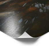 *~*サンマンリバーストリーム自然AP49 フォトプリント            (角)