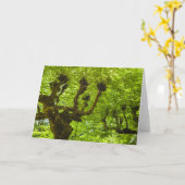 サンミゲル島 カード (黄色い花)