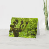 サンミゲル島 カード (正面)