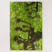 サンミゲル島 ジグソーパズル (縦)