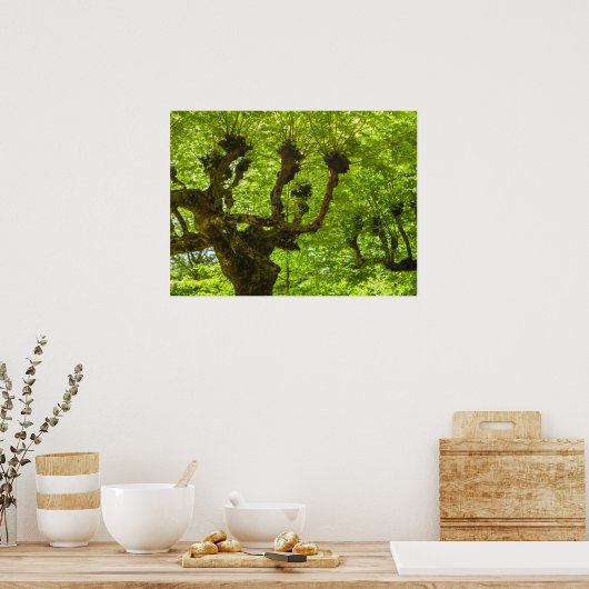 サンミゲル島 ポスター (キッチン)