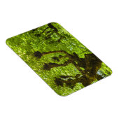 サンミゲル島 マグネット (右側)