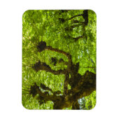 サンミゲル島 マグネット (縦)