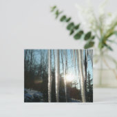 サンライズから氷柱の冬の自然写真 (スタンド正面)