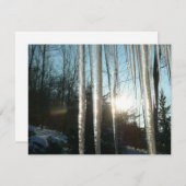 サンライズから氷柱の冬の自然写真 (正面/裏面)