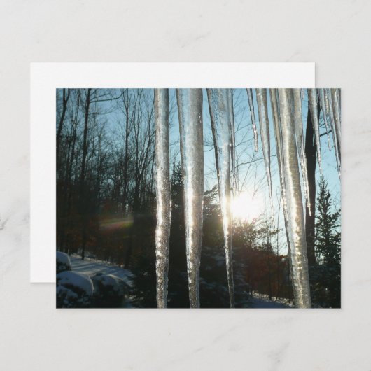 サンライズから氷柱の冬の自然写真 (正面/裏面)