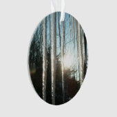 サンライズから氷柱の冬の自然写真 オーナメント (正面)