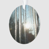 サンライズから氷柱の冬の自然写真 オーナメント (正面)