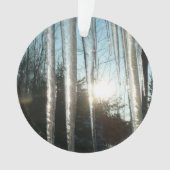 サンライズから氷柱の冬の自然写真 オーナメント (正面)