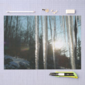 サンライズから氷柱の冬の自然写真 薄葉紙 (クラフト)