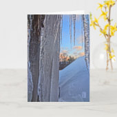 サンライズで氷柱 カード (黄色い花)