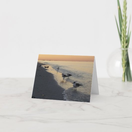 サンライズアットサンセットビーチ カード (正面)