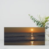 サンライズアットザビーチバイシャーリーテイラー (スタンド正面)