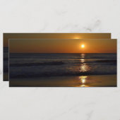 サンライズアットザビーチバイシャーリーテイラー (正面/裏面)