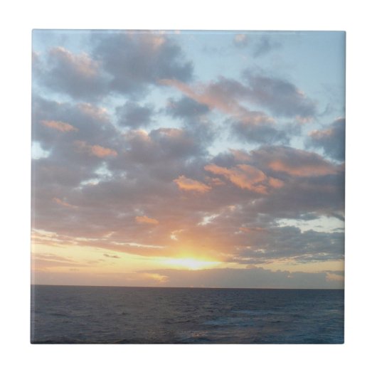 サンライズアットシーIパステルシースケープ タイル (正面)