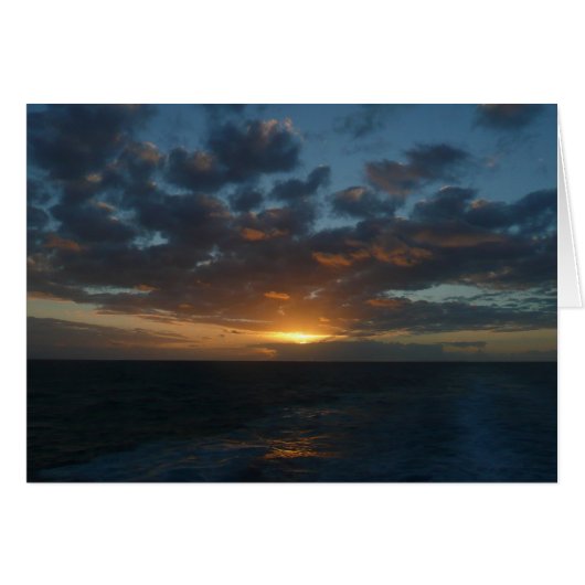 サンライズアットシーII海シースケープ (正面横)