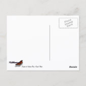 サンライズアットジャクソンダムグランドテトンナショナルパーク ポストカード (裏面)