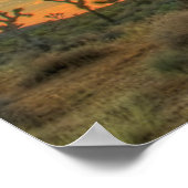 サンライズアットジョシュアツリー国立公園 ポスター (角)