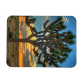 サンライズアットジョシュアツリー国立公園 マグネット (横)