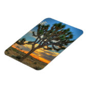 サンライズアットジョシュアツリー国立公園 マグネット (左側)