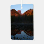 サンライズアットニンフ湖I メタルオーナメント (正面左)