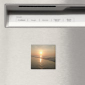 サンライズアットフォリービーチ マグネット (インサイチュ (食洗機))