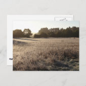 サンライズアットベアバレートレイルヘッドランドスケープ ポストカード (正面/裏面)