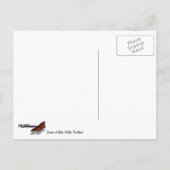 サンライズアットベアバレートレイルヘッドランドスケープ ポストカード (裏面)