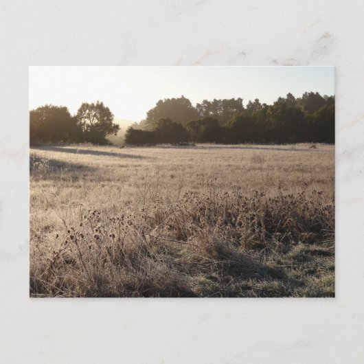 サンライズアットベアバレートレイルヘッドランドスケープ ポストカード (正面)