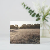 サンライズアットベアバレートレイルヘッドランドスケープ ポストカード (スタンド正面)