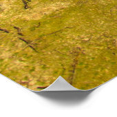 サンライズアットベアビュート州パーク，サウスダコタ ポスター (角)