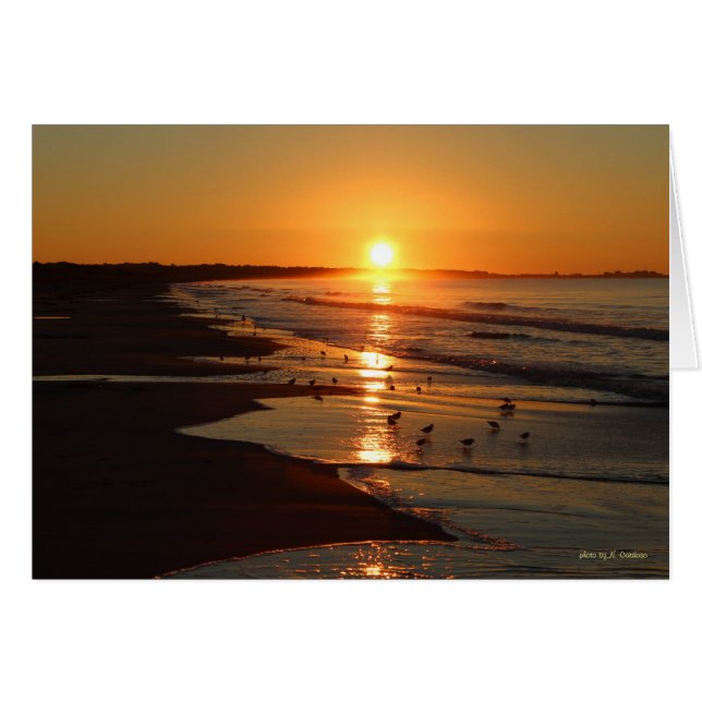 サンライズアットホーセネックビーチ (正面横)