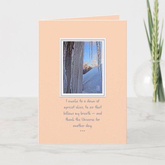 サンライズアプリコットスカイスカードでのアイクレスレット カード (正面)