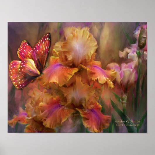 サンライズアートポスター/プリント ポスター (正面)