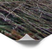 サンライズオンカーサグランデBBNP,テキサス州 ポスター (角)