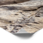 サンライズオンビーチアルマサンサンサンカタリーナ ポスター (角)