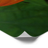 サンライズオンメキシカンサンフラワーオレンジフローラ ポスター (角)