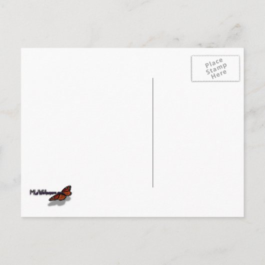 サンライズオンメキシカンサンフラワーオレンジフローラ ポストカード (裏面)