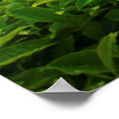 サンライズオーバーティーファーム ポスター (角)