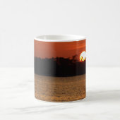 サンライズオーバーペルディドベイ コーヒーマグカップ (中央)
