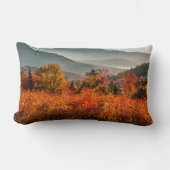 サンライズカナガグハイウェイオーバービューニューハンプシャー ランバークッション (正面)