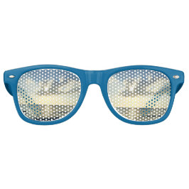 サンライズグロウ コーストシェード レトロサングラス