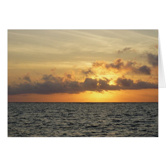 サンライズグローリーフォリービーチ (正面横)