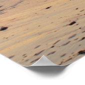 サンライズケープコッド国立海岸 ポスター (角)