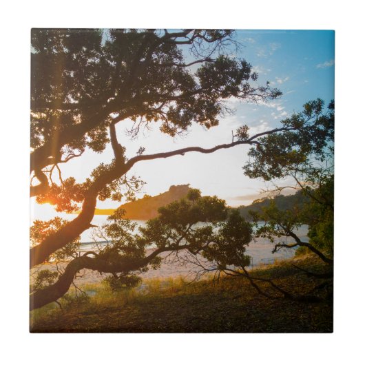 サンライズコロマンデルビーチパラダイスニュージーランド タイル (正面)