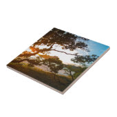 サンライズコロマンデルビーチパラダイスニュージーランド タイル (側面)