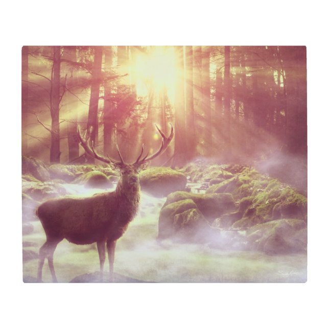 サンライズゴールデンアワーの霧の多い森の中の雄シカ メタルプリント (正面)