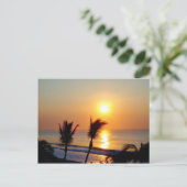 サンライズサンノゼデカボ ポストカード (スタンド正面)