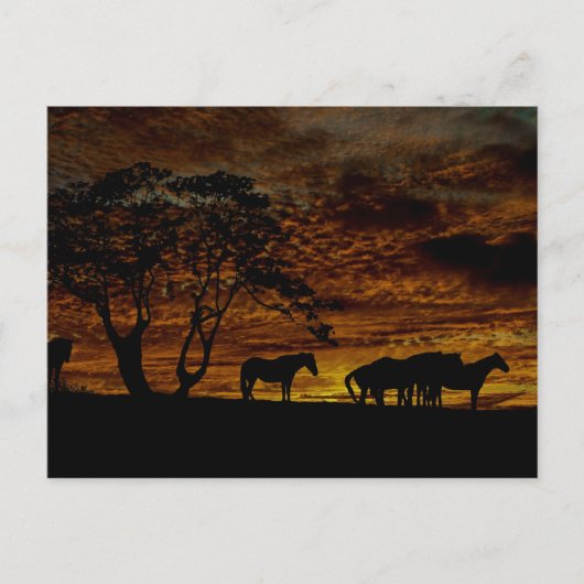 サンライズシルエット ポストカード (正面)