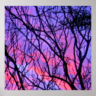 サンライズシロヒュエット ポスター